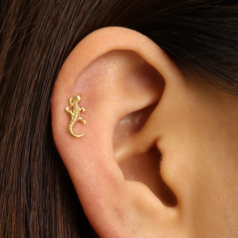 May include: A gold-colored lizard-shaped stud earring. The earring is worn in the cartilage of the ear.