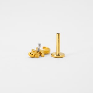 May include: Gold body jewelry with a small, detailed, gold lizard design. The jewelry is a labret stud with a flat back and a threaded post.