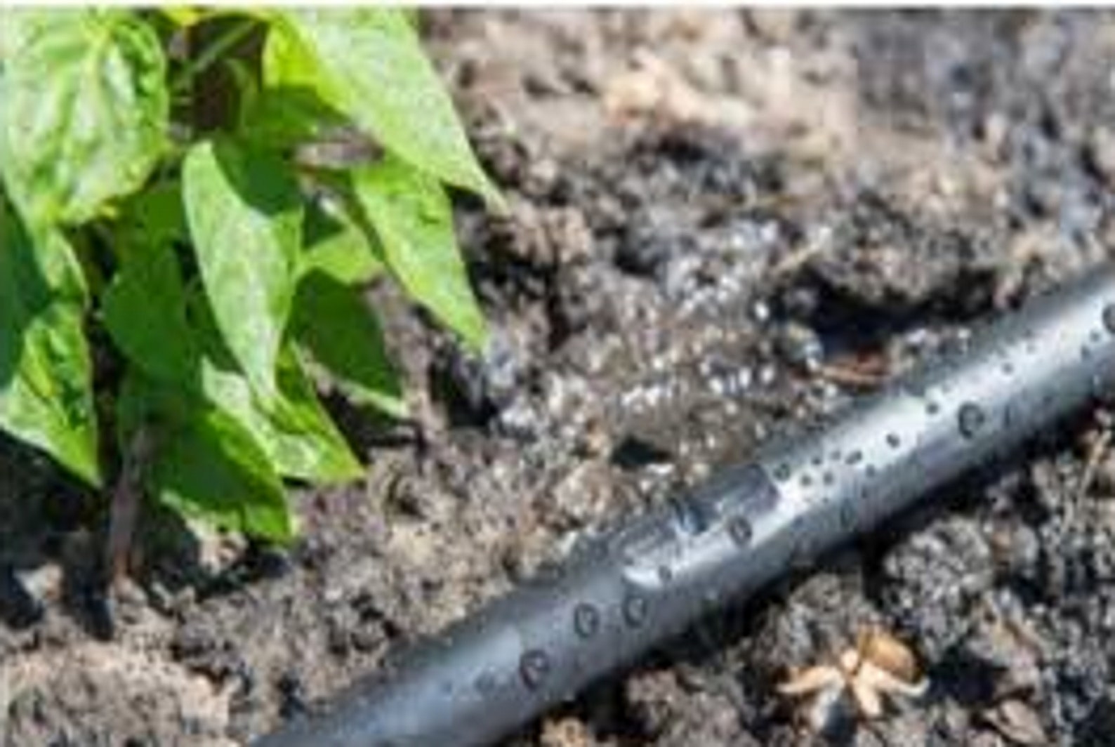 Drip Tape irrigation Etsy