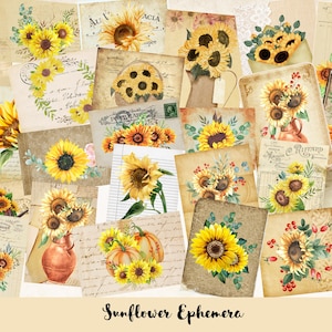 Junk Journal, Sunflower Ephemera Pack, scrapbooking, Post Card, Collage Sheet, A4