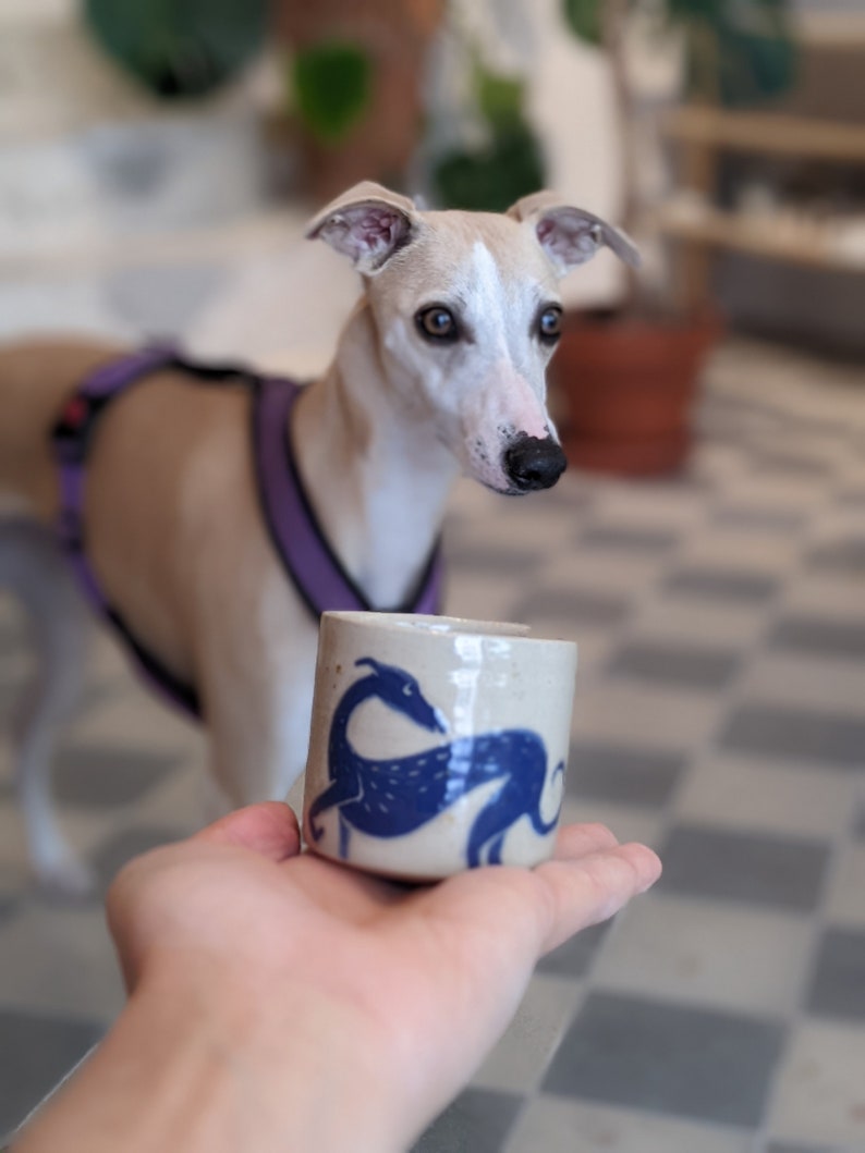 Espresso cup with whippet dog illustration, Italian greyhound, greyhound, hand painted sgraffito, ready to ship image 10