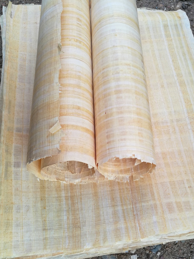 Pyrus Paper Handmade Egyptian Papyrus Paper: Large Sheets for Art (37.5