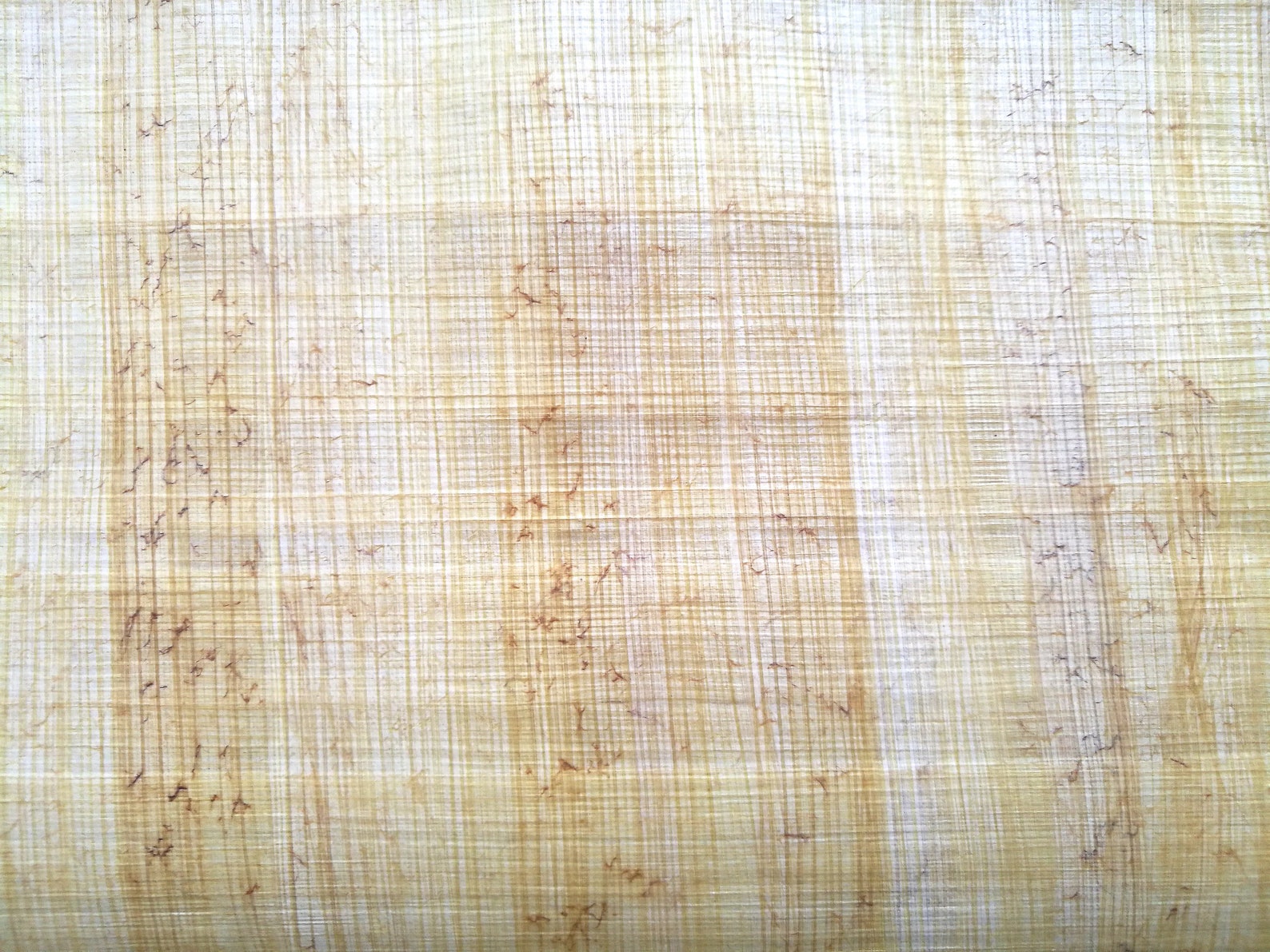 10 Egyptian Papyrus Paper Blank Light color A4 papyrus size Etsy