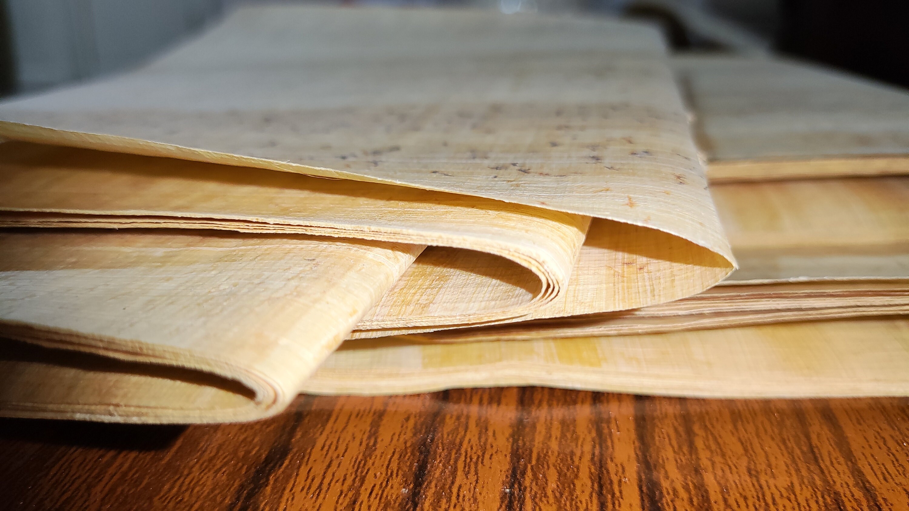 Egyptian Papyrus Journals - Innovative Journaling