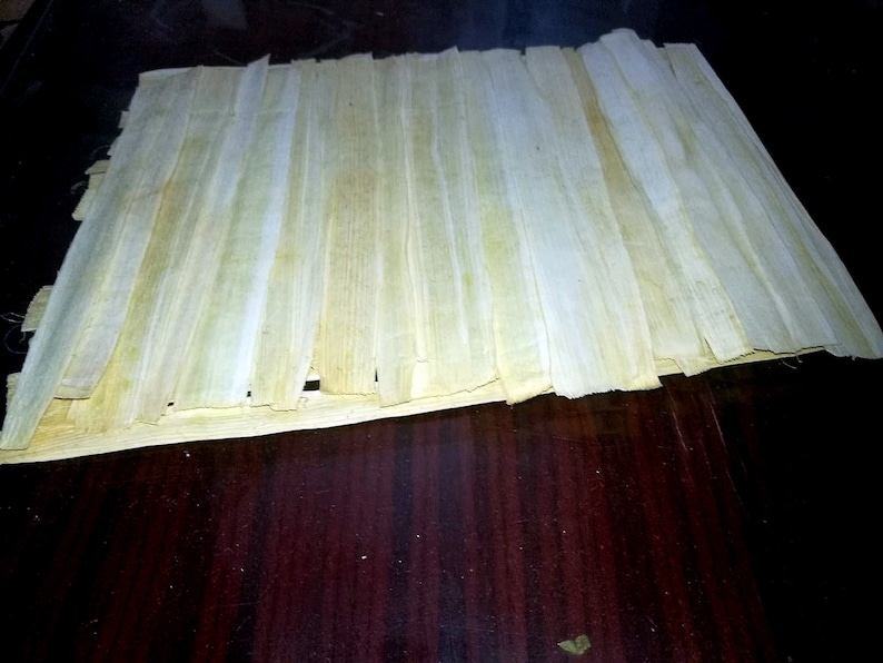 How to Make Papyrus Paper at Home How to Make Papyrus Paper in School