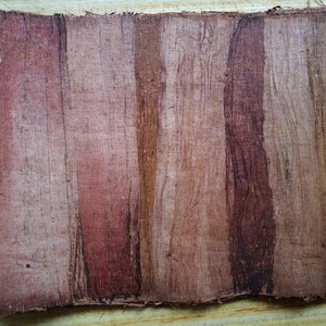 May include: A piece of brown papyrus paper with vertical lines of darker brown and reddish-brown.