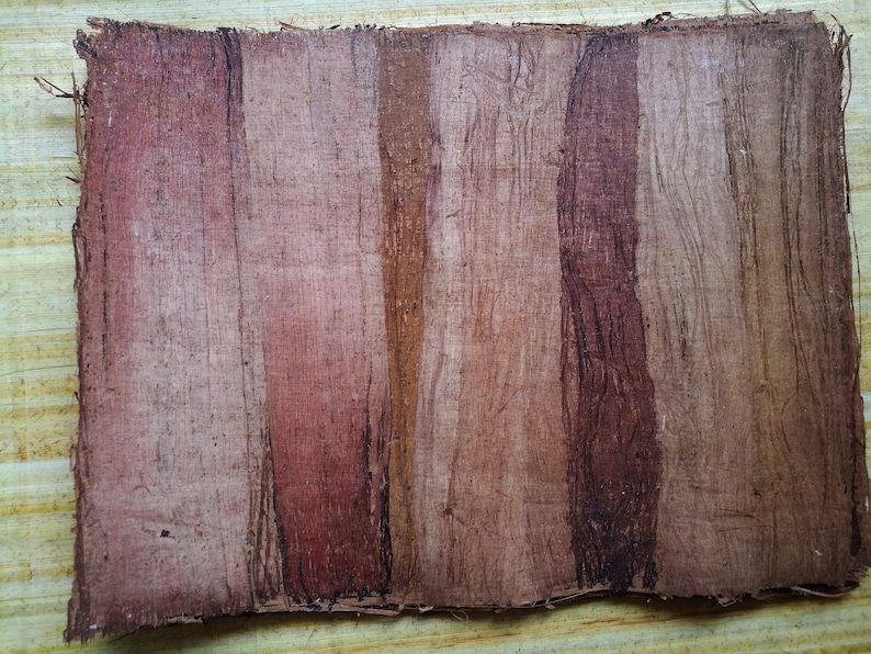 May include: A piece of brown papyrus paper with vertical lines of darker brown and reddish-brown.