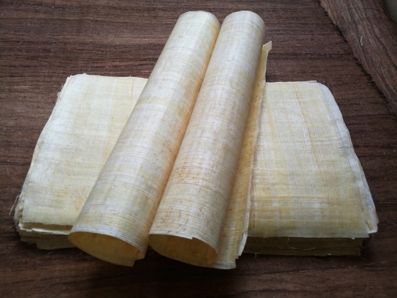 May include: Two rolls of natural beige papyrus paper, unfurled and stacked on a wooden surface.