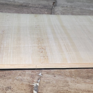 Egyptian Authentic Papyrus Sketchbook – Papyri Sketchbook with Abu Simbel Temple ArtworkTemple Cover