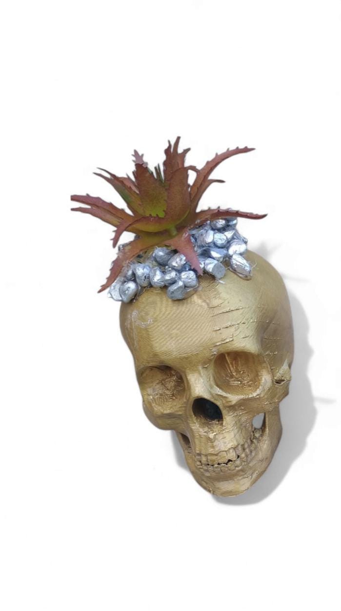 Metallic 3D Printed Skull Planter with Faux Succulent, Gothic Halloween Decor, Creepy Skull Pot, Gold or Silver Skull Vase, Teacher gift - Thumbnail 3