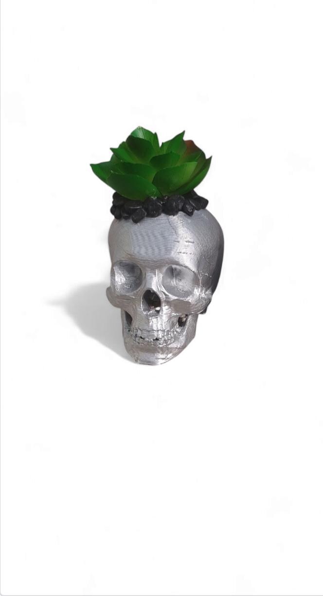 Metallic 3D Printed Skull Planter with Faux Succulent, Gothic Halloween Decor, Creepy Skull Pot, Gold or Silver Skull Vase, Teacher gift - Thumbnail 5