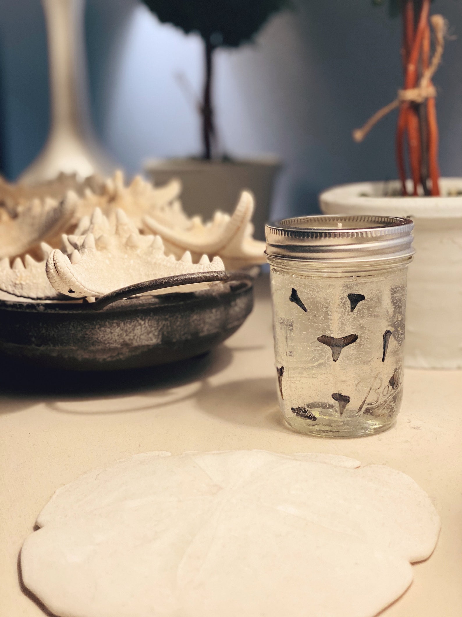 Sharks Teeth Candle Etsy