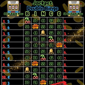 Doppel Bingo 60 PYP Pro WTA 15 Linien Bingo Board