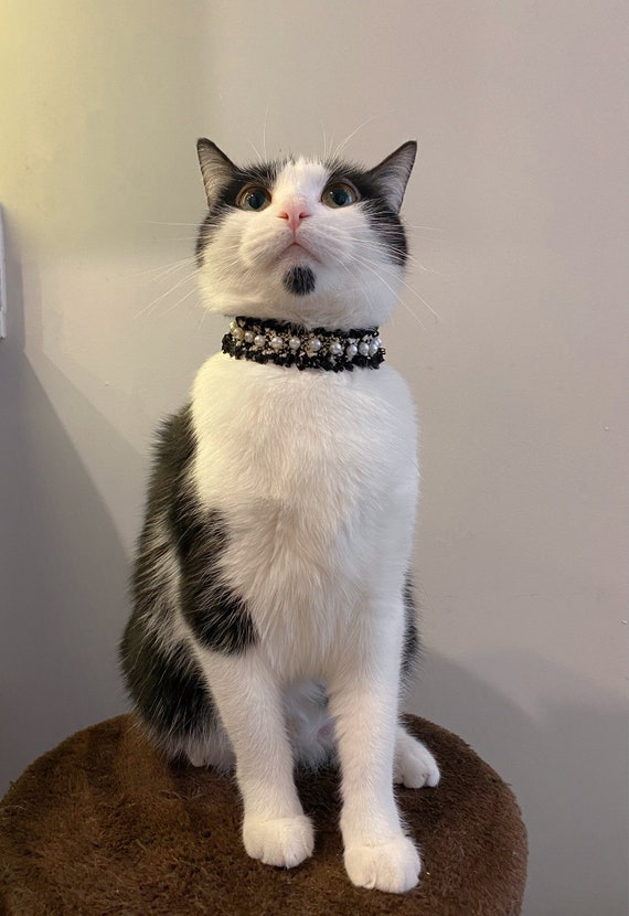Lace top cat collar
