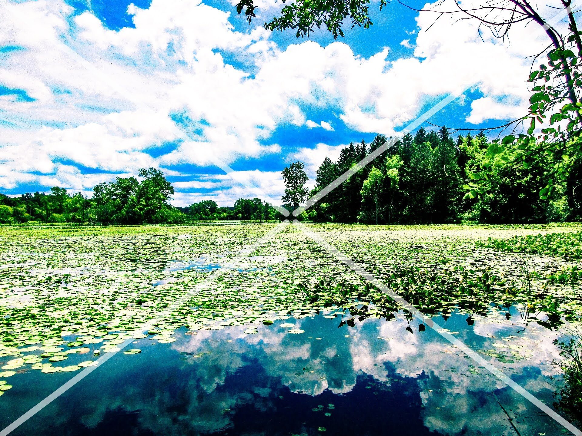Summer at Barber Lake Digital download 20.2MP | Etsy
