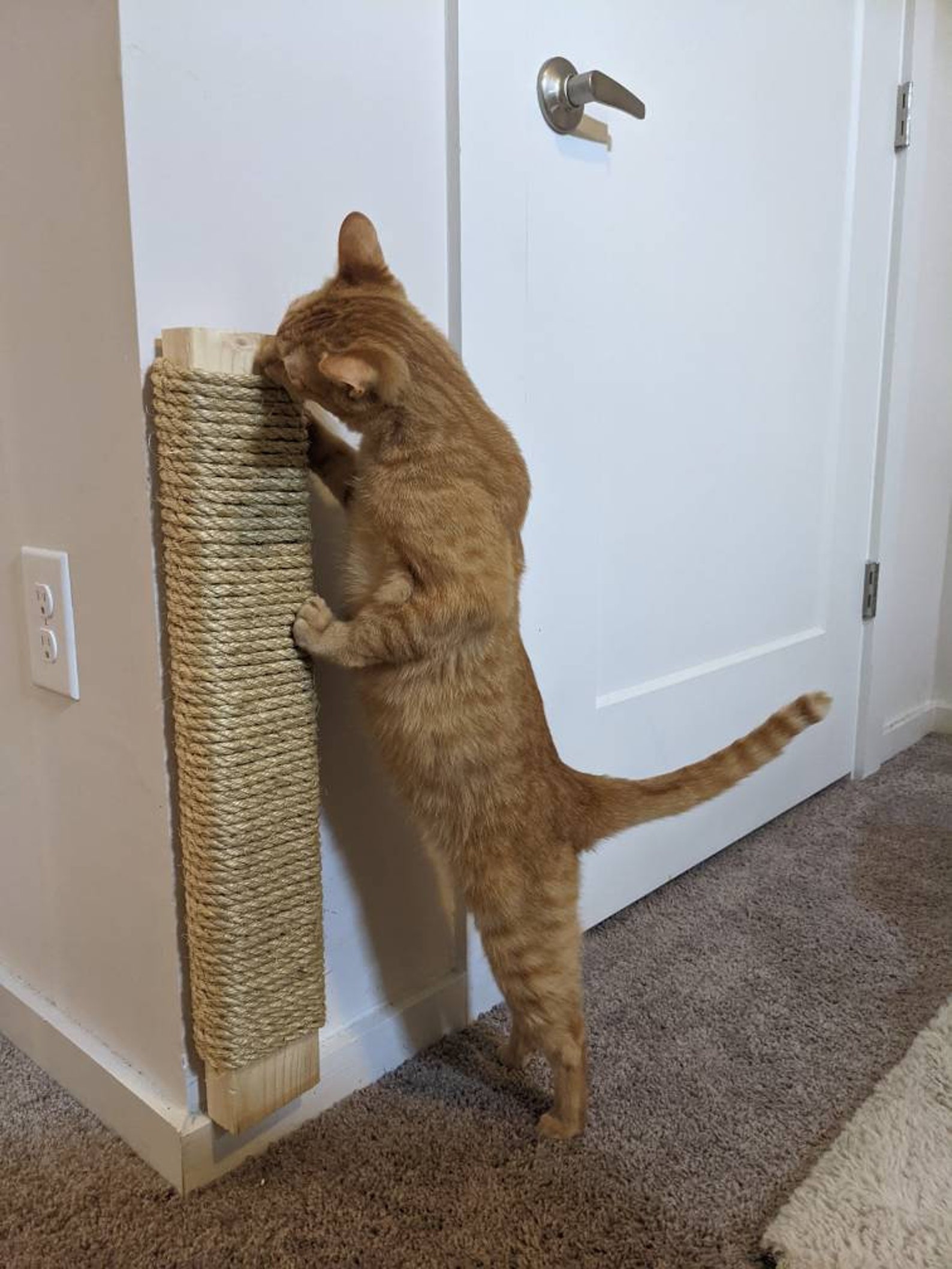 Small flat wall mounted cat scratcher Etsy