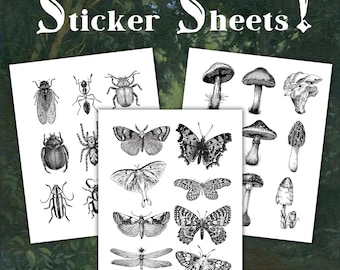 Butterfly Moth Sticker Sheet, Woodland Mushroom Insect Stickers