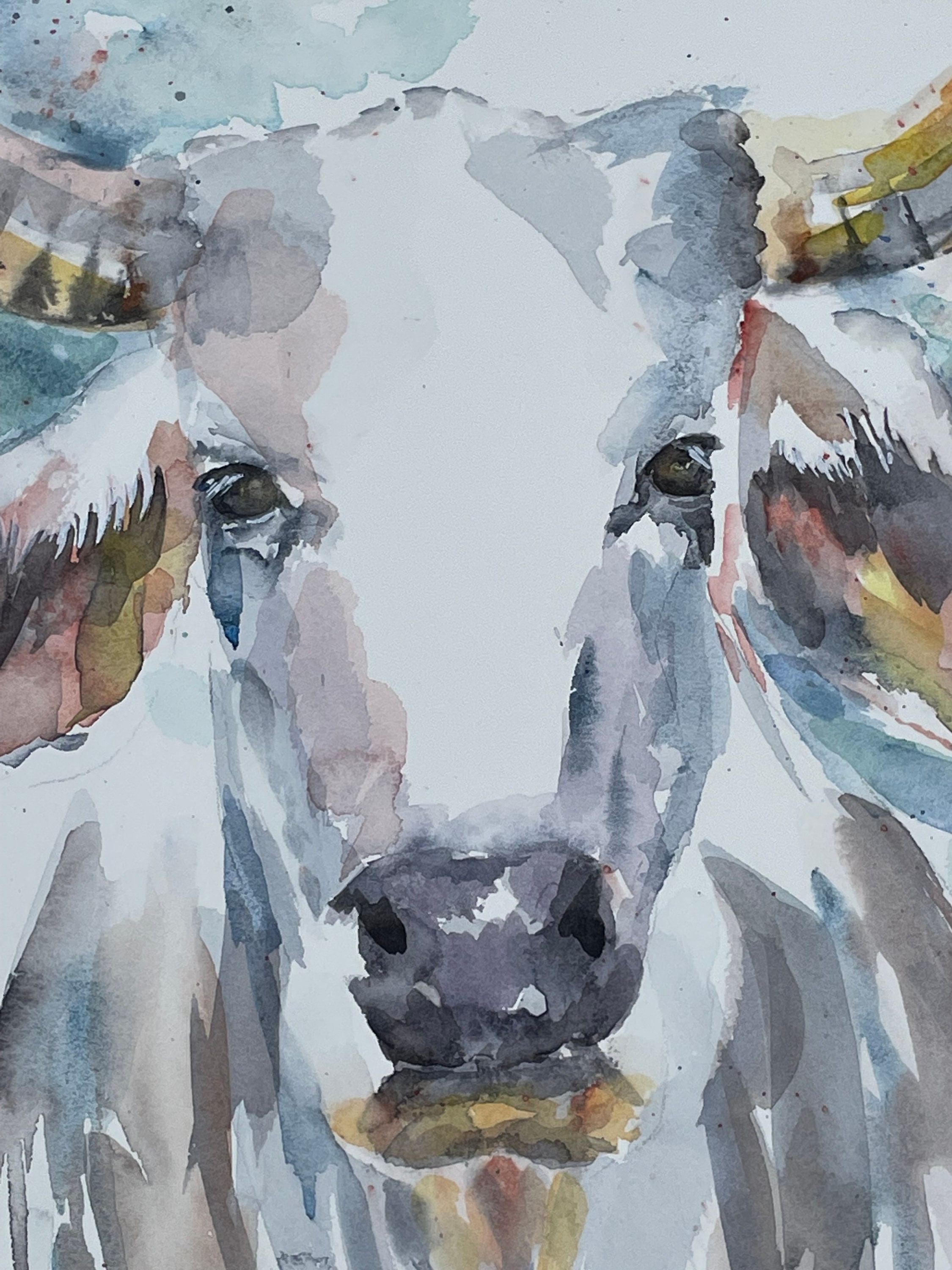 Original Watercolor Painting Braham Bull This is Not a Print - Etsy