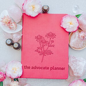 The Advocate Planner