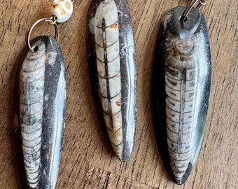 Orthoceras Fossil Keychain: Skull Charm, Rosary Chain Pendant