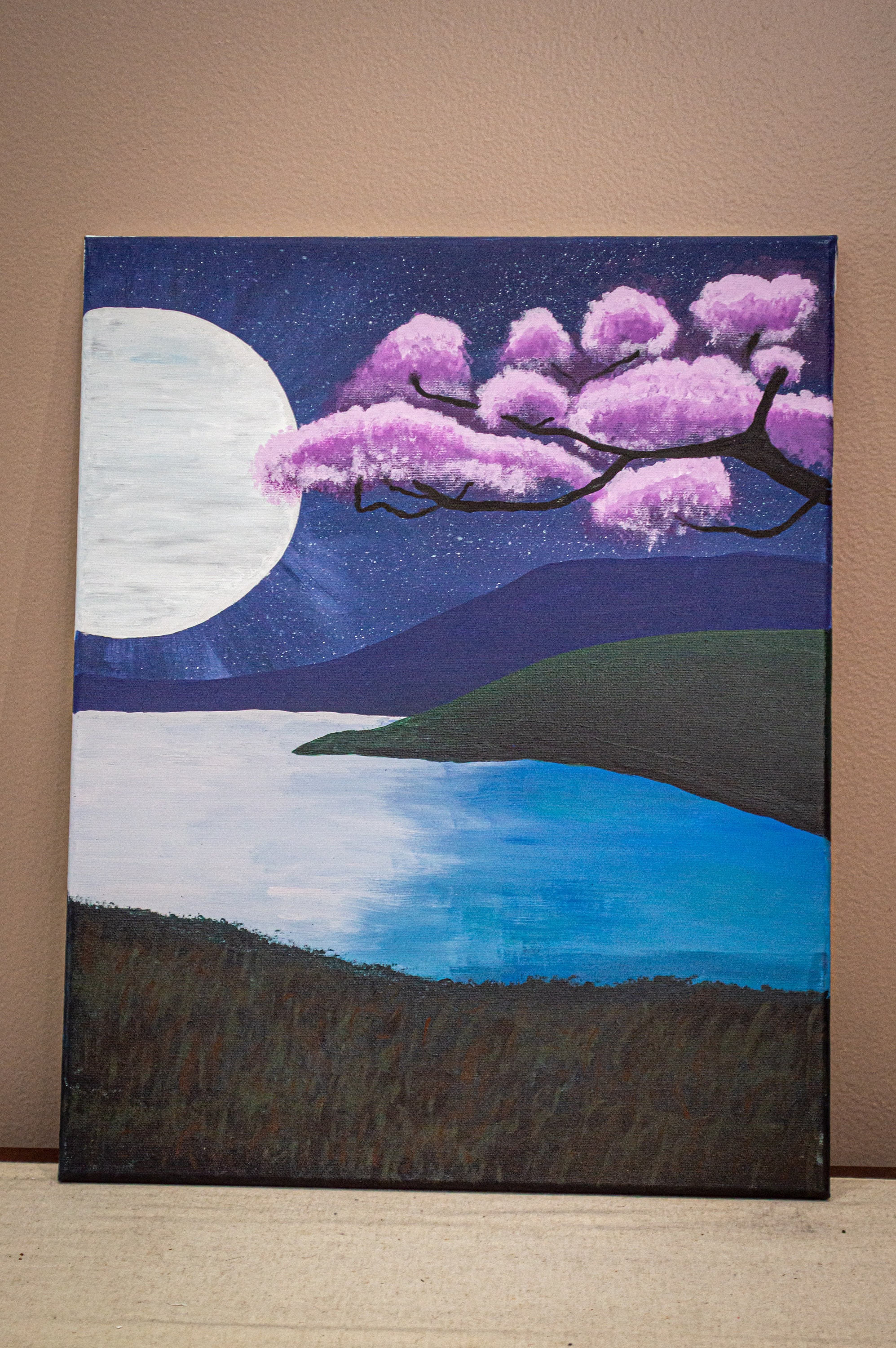 Night Sky Canvas Painting ORIGINAL WORKOne Of A Kind Etsy