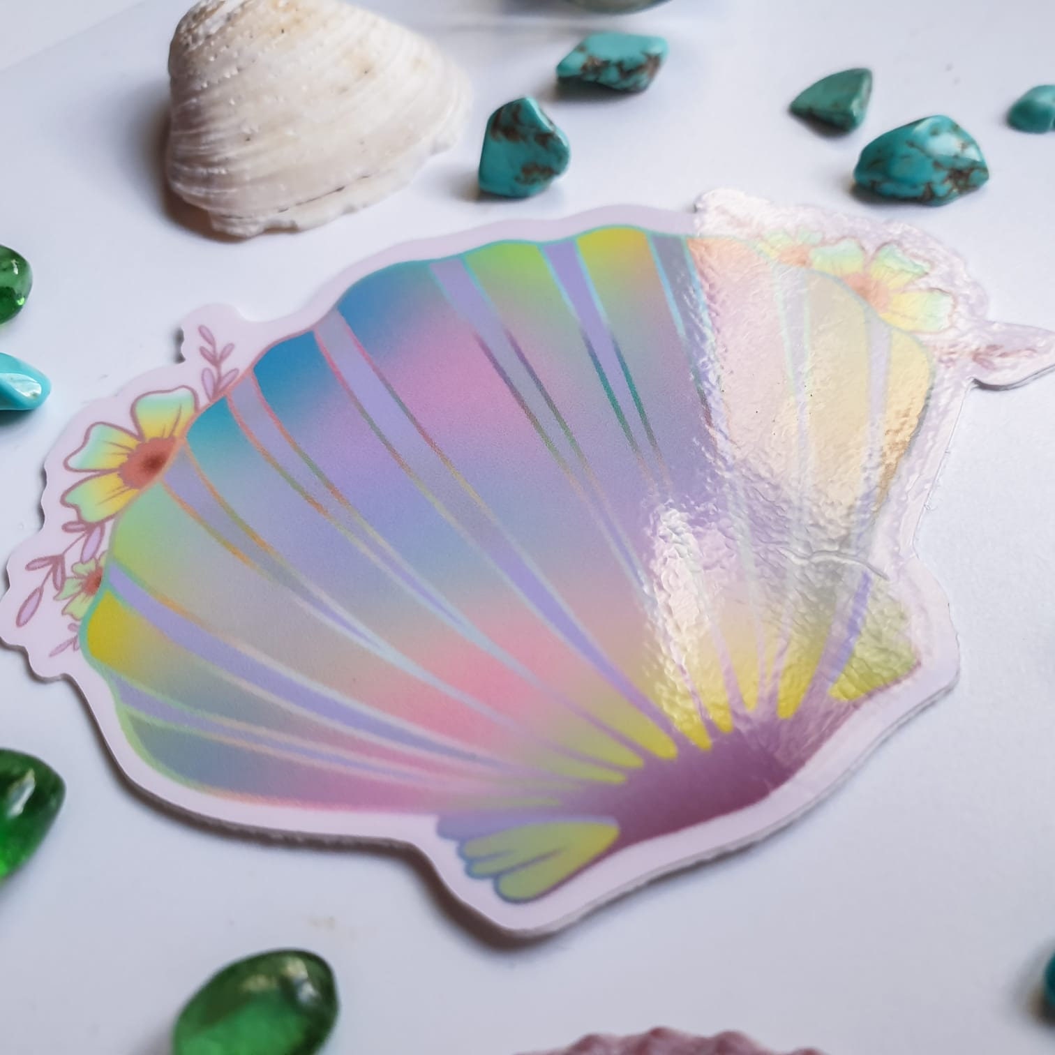Raibow Shell Rainbow Sea Shell - Etsy