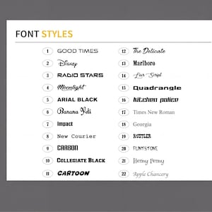 a list of various font styles, including Disney, Radio Stars, Moonlight, Arial Black, Quadrangle, kitchen police, Times New Roman, Georgia, New Courier, Carbon, Cartoon, and Apple Chancery.