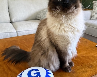 Pinball Wall art Custom Pop Bumpers Lighted You pick the Letters and Colors Price Per Letter