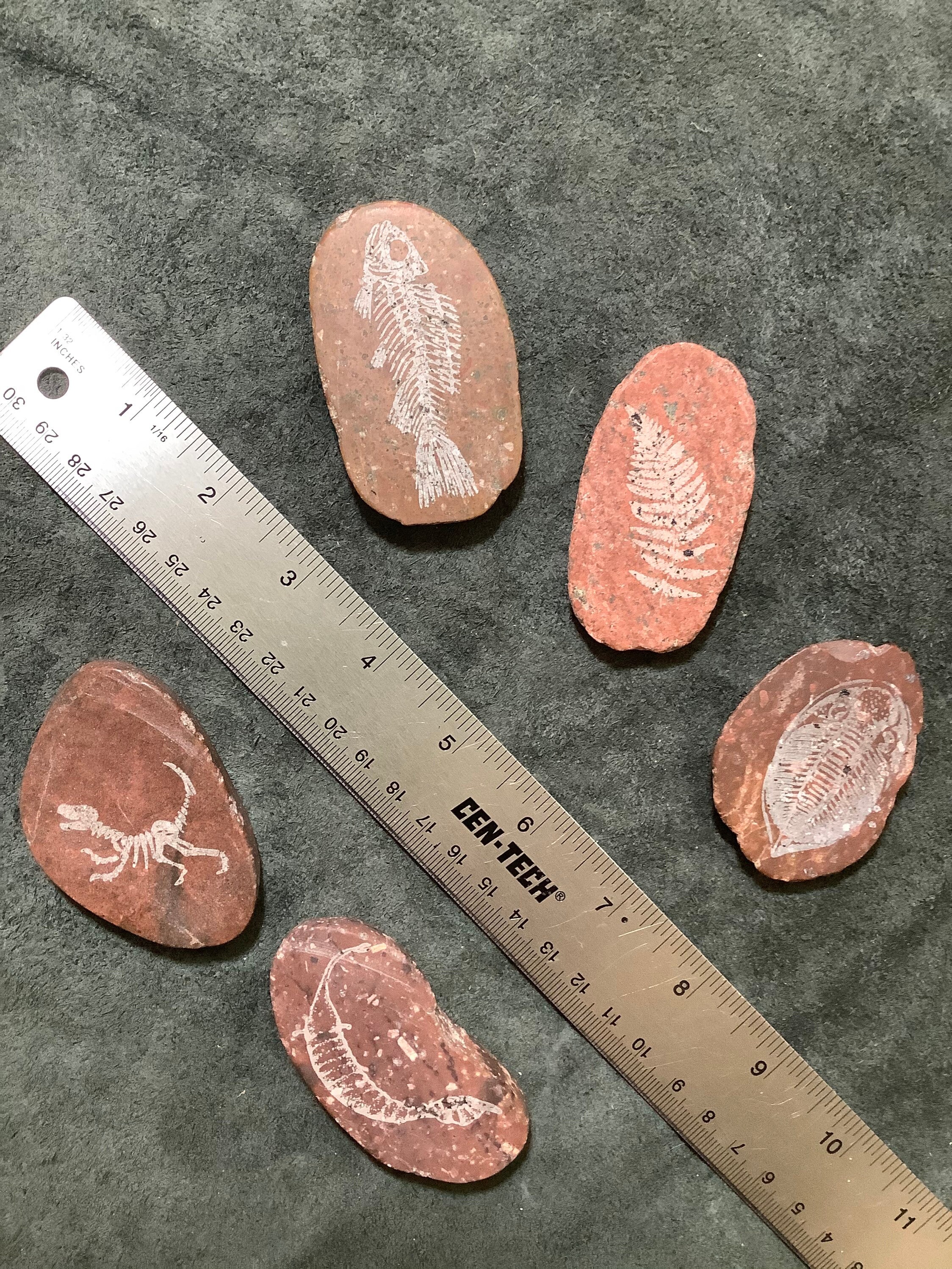 Rock slab fossil replica engraving Etsy