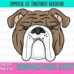 Bulldog School Mascot - Doodle Clipart PNG Digital Design - Bulldog Hand Drawn Clipart - Team Mascot - School Spirit - Commercial Use