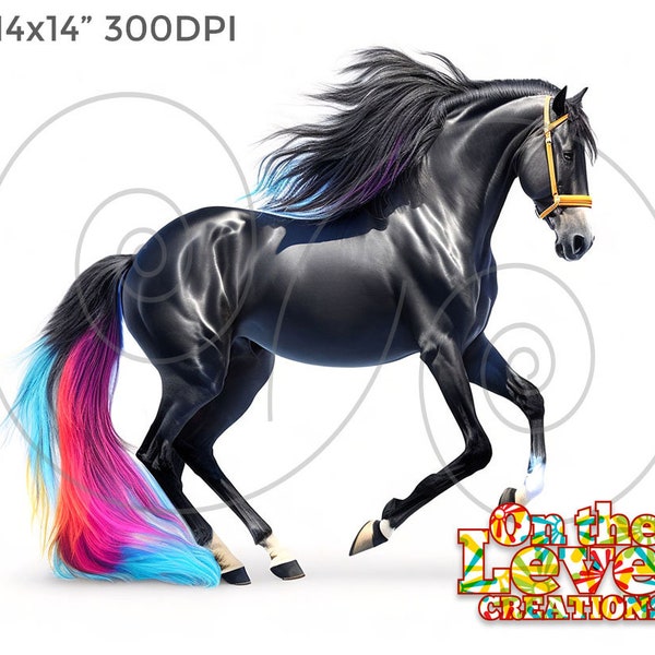 Beau cheval noir frison aquarelle sublimation portrait téléchargement numérique illustration 14 x 14 pouces