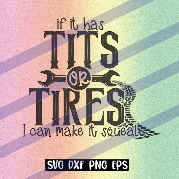 Tits or Tires svg dxf png eps instant download cup gift Silhouette cameo cricut I can make it squeal