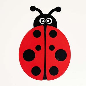 Kit artigianale coccinella
