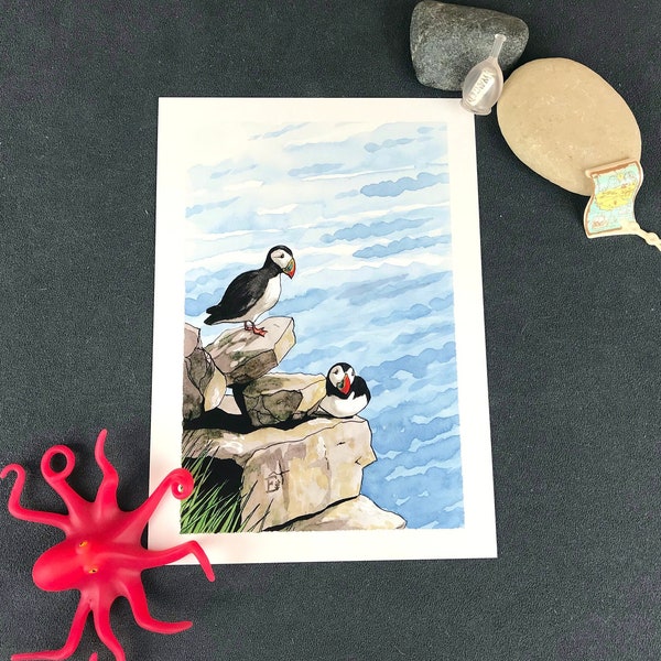 Illustration oiseaux macareux, impression format A5 aquarelle, animaux de la mer
