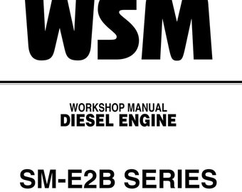 Kubota WSM Workshop Manual PDF, SM-E2B Series, Diesel Engine Repair, Digital Repair Manual Instant Download
