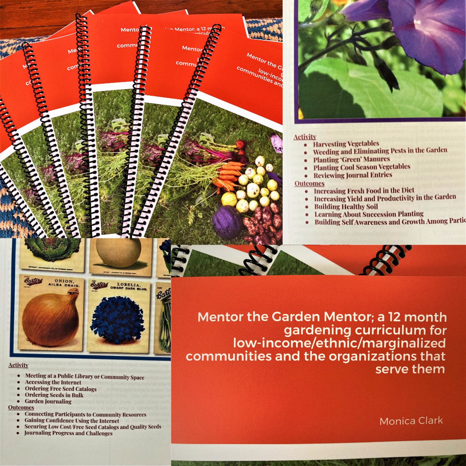 Mentor The Garden Mentor A 12 month Gardening Curriculum Etsy