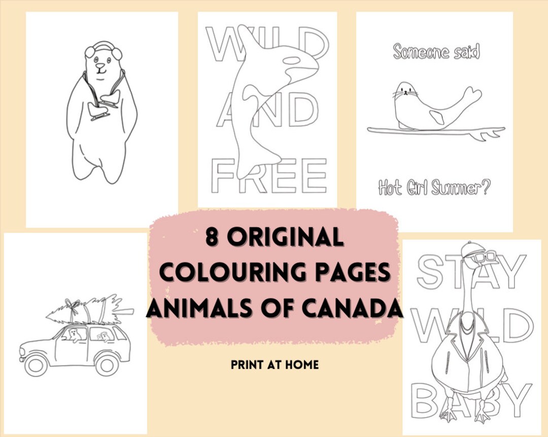 8 Original Colouring Pages Animals of Canada Digital Downloads Etsy