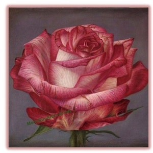 Red Rose DIY Chart Counted Cross Stitch Pattern