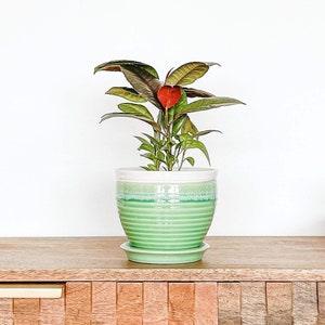 Ceramic Plant Pot with Drainage and Saucer, Glossy Green Planter, Indoor Pot for Houseplants or Succulents, Willow