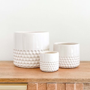 Ava Ceramic Indoor Planters, Glossy White Color Planter Pot, Housewarming Home Decor Gifts, Succulent Planters, Flower Pots