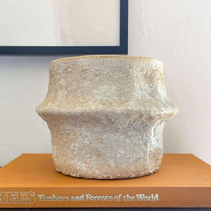 May include: A textured, beige ceramic vase with a unique shape, resting on a stack of books. The vase has a wide base and a narrower top, with a textured surface. The books include "Trees Timbers and Forests of the World".