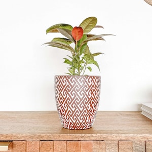 May include: A potted plant with green and red leaves sits in a brown and white patterned ceramic pot. The pot is on a wooden surface, with woven wall decor in the background.