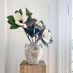 Peut inclure: Un vase blanc vieilli, avec deux poignées, contient plusieurs grandes fleurs de magnolia blanches et des feuilles vert foncé. Le vase est posé sur un socle en bois patiné. Porte blanche en arrière-plan.