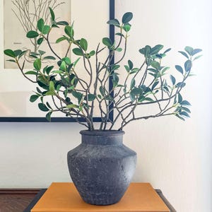 May include: A dark grey, textured vase displays green leafy branches. The vase rests on a stack of books with orange and black covers. A framed botanical print hangs in the background, adding a natural element to the composition.