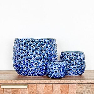 May include: Three blue ceramic planters with a textured bubble design. The planters are arranged in a row on a wooden surface.