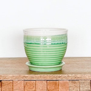 May include: A green ceramic planter with a white rim and a ribbed design sits on a wooden surface. The planter is on a wooden shelf with a drawer below.