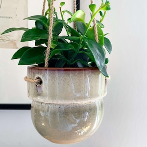 May include: A hanging ceramic planter with a green plant. The two-part planter is beige with a brown rim and is suspended by natural rope. The plant has vibrant green leaves and stems, creating a fresh, natural aesthetic.
