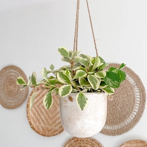 Venezia Stoneware Hanging Planters, Cracked Pattern Design Hanging Planters, Indoor Hanging Pots, Housewarming Gift, Succulent Plant Holder image 5