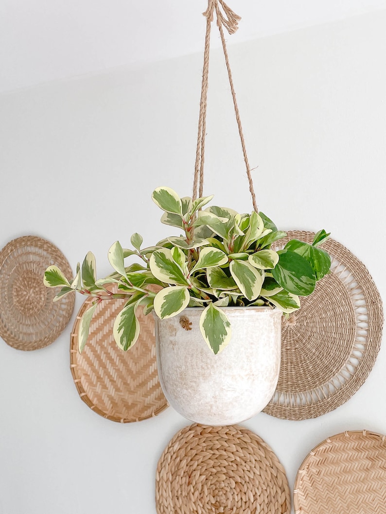 Venezia Stoneware Hanging Planters, Cracked Pattern Design Hanging Planters, Indoor Hanging Pots, Housewarming Gift, Succulent Plant Holder image 5