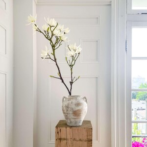 K&ouml;nnte beinhalten: Eine wei&szlig;e, antike Keramikvase mit zwei Henkeln enth&auml;lt einen bl&uuml;henden Zweig mit wei&szlig;en Bl&uuml;ten. Die Vase steht auf einem verwitterten, hellbraunen Holzsockel. Der Hintergrund zeigt eine wei&szlig;e T&uuml;r und ein Fenster.